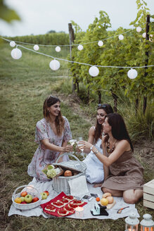 Freunde bei einem Sommerpicknick im Weinberg - MAUF01635