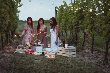 Freunde machen ein Picknick in einem Weinberg und zünden Wunderkerzen an - MAUF01645