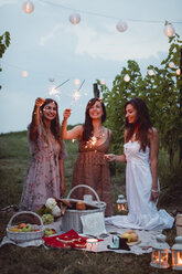 Freunde machen ein Picknick in einem Weinberg und zünden Wunderkerzen an - MAUF01647