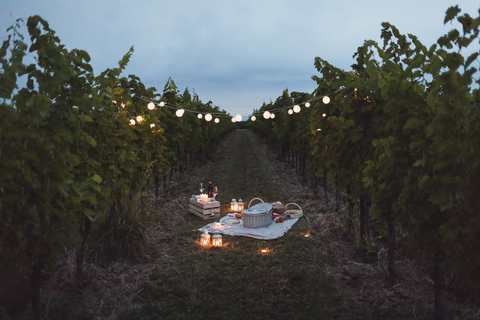 Essen und Licht im Weinberg für ein Picknick am Abend, lizenzfreies Stockfoto