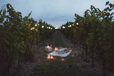 Essen und Licht im Weinberg für ein Picknick am Abend - MAUF01659