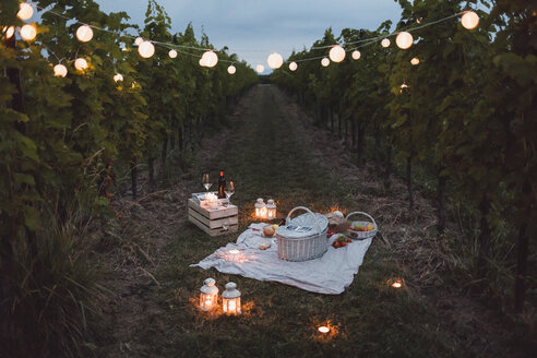 Food and light arranged in vineyard for a picnic at night - MAUF01660