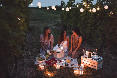 Friends having a picnic in a vineyard on summer night stock photo