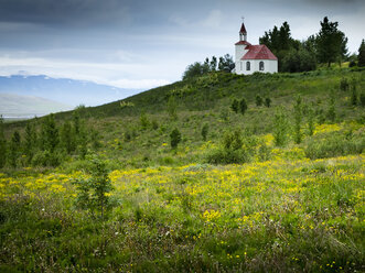 A small historic church in open countryside, among wildflower meadows. - MINF03082