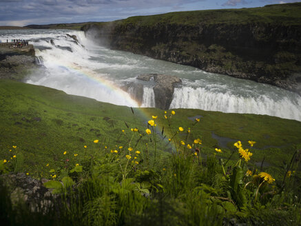 Gullfoss mit Regenbogen und Blumen - MINF03088