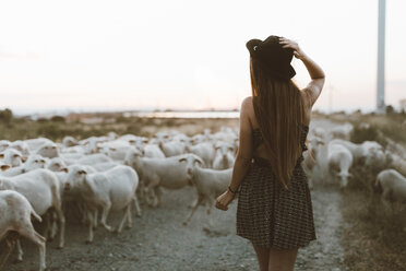 Rückenansicht einer jungen Frau, die vor einer Schafherde läuft - OCAF00347