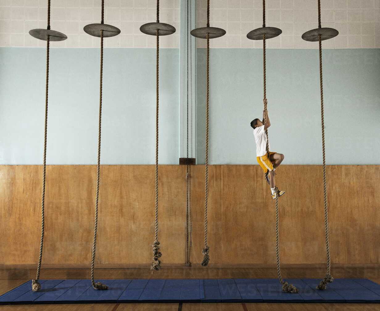 A child climbing up a rope in a school gym. stock photo