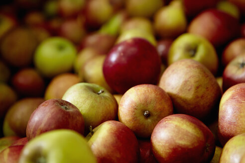 Äpfel mit rot-oranger und grüner Schale. - MINF03240