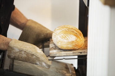 Nahaufnahme eines Bäckers, der einen frisch gebackenen Laib Brot aus dem Ofen nimmt. - MINF03369
