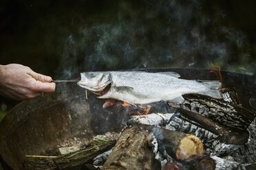 Chefkoch beim Grillen eines ganzen Fisches auf dem Grill. - MINF03377