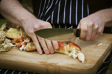Close up of a chef preparing a crab. - MINF03385