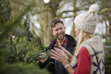 A man and woman discussing and choosing a traditional pine tree, Christmas tree. - MINF03394