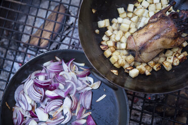 Ein Grillabend im Freien, zwei Bratpfannen mit Gemüse und einem kleinen Wildgeflügel. - MINF03472