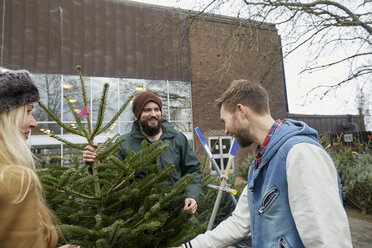 Zwei Mitarbeiter und eine Kundin betrachten einen großen Weihnachtsbaum. - MINF03506