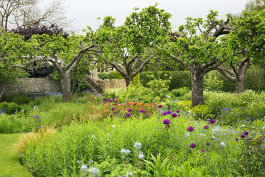 Blick auf einen Garten mit Blumenbeeten und Bäumen in Oxfordshire. - MINF03895