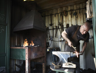 Blacksmith shaping a hot piece of iron on an anvil in a traditional forge with an open fire. - MINF03968