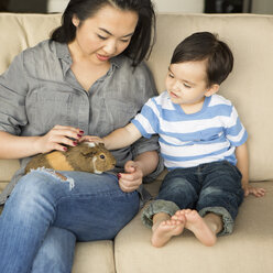 Eine lächelnde Frau sitzt auf einem Sofa, ein Meerschweinchen sitzt auf ihrem Schoß, ihr kleiner Sohn streichelt das Tier. - MINF03970