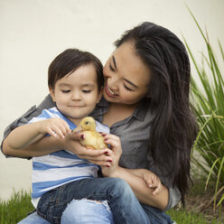 Smiling woman holding a yellow duckling in her hands, her young son watching. - MINF03974