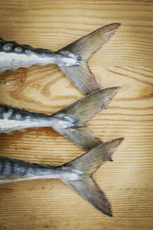 Nahaufnahme von drei frischen Makrelen, die auf einem Schneidebrett liegen, Detail des Schwanzes. - MINF03996