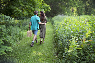 Ein Mann und eine Frau gehen durch eine Wiese, durch das lange Gras, und tragen einen Picknickkorb. - MINF04087