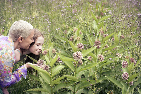 Eine reife Frau und ein junges Mädchen auf einer Wildblumenwiese, die sich die Blumen genau ansehen. - MINF04110