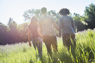 Drei Personen, die im Sommer Hand in Hand durch langes Gras gehen, Rückansicht. - MINF04167