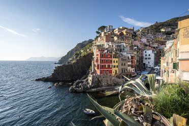 Italien, Ligurien, La Spezia, Nationalpark Cinque Terre, Riomaggiore - RPSF00221