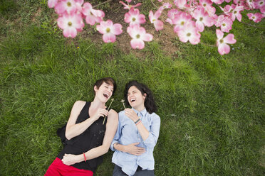 A same sex couple, two women lying on the grass laughing, under the branches of a flowering tree. - MINF04389