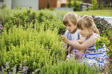 Junge und Mädchen knien neben einem Strauch in einem Garten. - MINF04417
