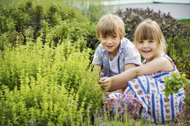 Junge und Mädchen knien neben einem Strauch in einem Garten und lächeln in die Kamera. - MINF04418