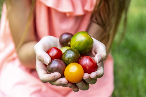 Girl holding colorful tomatoes in hand - SARF03873