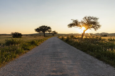 Afrika, Namibia, Etosha-Nationalpark, Landschaft, Schotterstraße bei Sonnenaufgang - FOF09985