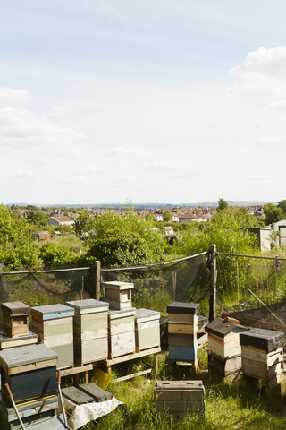 Eine Ansammlung von Bienenstöcken in der Ecke eines Schrebergartens in einer Stadt., lizenzfreies Stockfoto