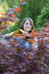 Eine Frau in einer Baumschule beim Beschneiden der Blätter einer Ahorn. - MINF04977