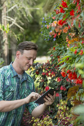 Ein Mann in einem Gewächshaus einer ökologischen Gärtnerei, der ein digitales Tablet benutzt. - MINF04984
