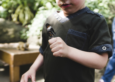 Ein Kind, ein Junge steht mit einem Schmetterling auf der Hand., lizenzfreies Stockfoto