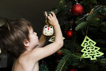 Ein Kind, ein Junge schmückt einen Weihnachtsbaum mit Ornamenten. - MINF05066