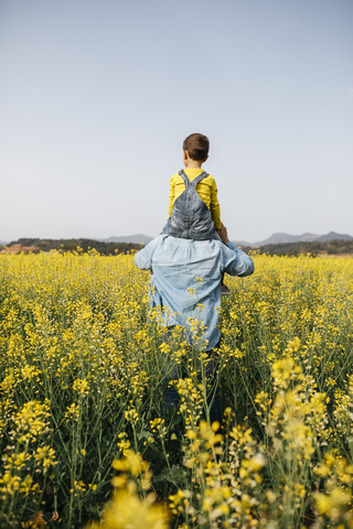 Spanien, Rückenansicht eines Mannes mit seinem Sohn auf den Schultern, der durch ein Feld mit gelben Blumen geht, lizenzfreies Stockfoto