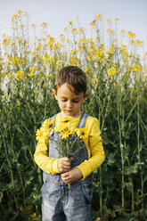 Portrait of little boy with picked flowers in nature - JRFF01776