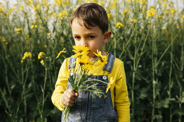 Portrait of little boy smelling picked flowers in nature - JRFF01778