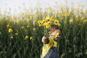 Kleiner Junge hält gepflückte gelbe Blumen vor einem Rapsfeld in der Hand - JRFF01779