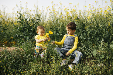 Kleiner Junge und kleines Mädchen sitzen auf einer Wiese mit einem Strauß gepflückter Blumen - JRFF01780