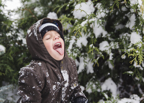 Boy, child standing in front of a tree covered in snow with mouth open. - MINF05130