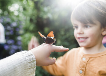 Junge, Kind und Erwachsener, stehend mit einem auf der Hand sitzenden Schmetterling im Schmetterlingshaus. - MINF05136