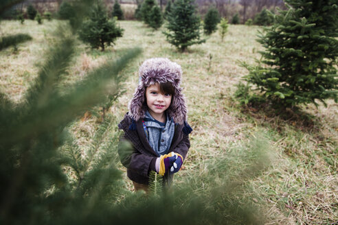Junge, Kind schaut durch die Zweige eines Weihnachtsbaums auf einer Weihnachtsbaumfarm. - MINF05139