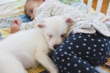 A puppy and a baby sleeping on a patchwork quilt in a cot. - MINF05171