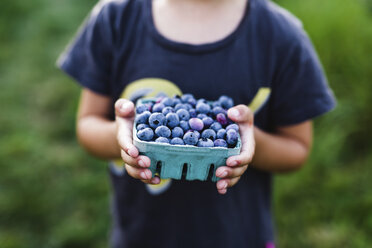 Close up of child holding punnet of fresh blueberries. - MINF05229