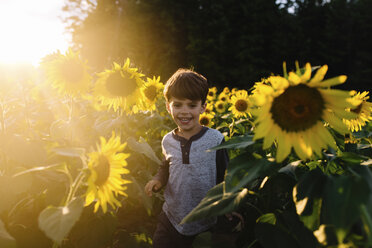 Smiling young boy with brown hair standing in field of sunflowers. - MINF05336