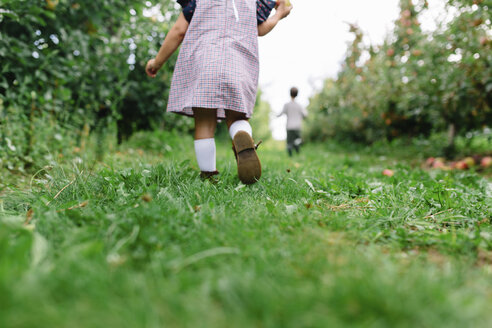 Rückansicht eines jungen Mädchens im Kleid, das in einem Apfelgarten spazieren geht, mit einem Jungen im Hintergrund. - MINF05346