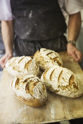 Bäcker hält Tablett mit frisch gebackenen Brotlaiben - MINF05465